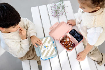 Lunchbox stainless steel - Sunny Explorer - groen/blauw